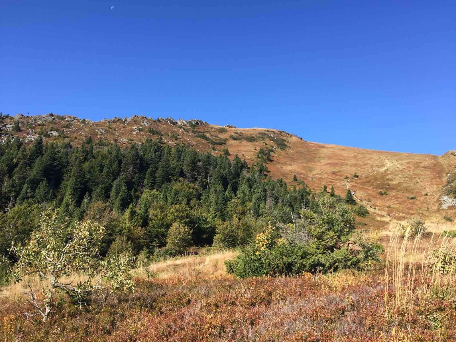 Як фармацевти сходили на Пікуй
